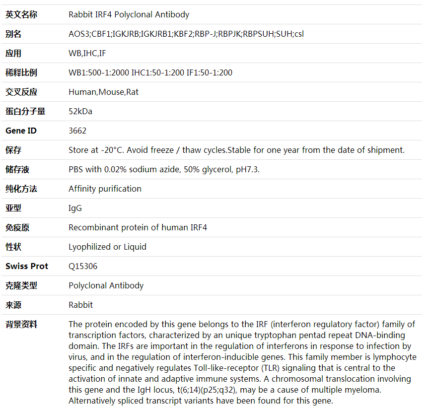 Anti-IRF4 Polyclonal Antibody,索莱宝,K002034P-100ul