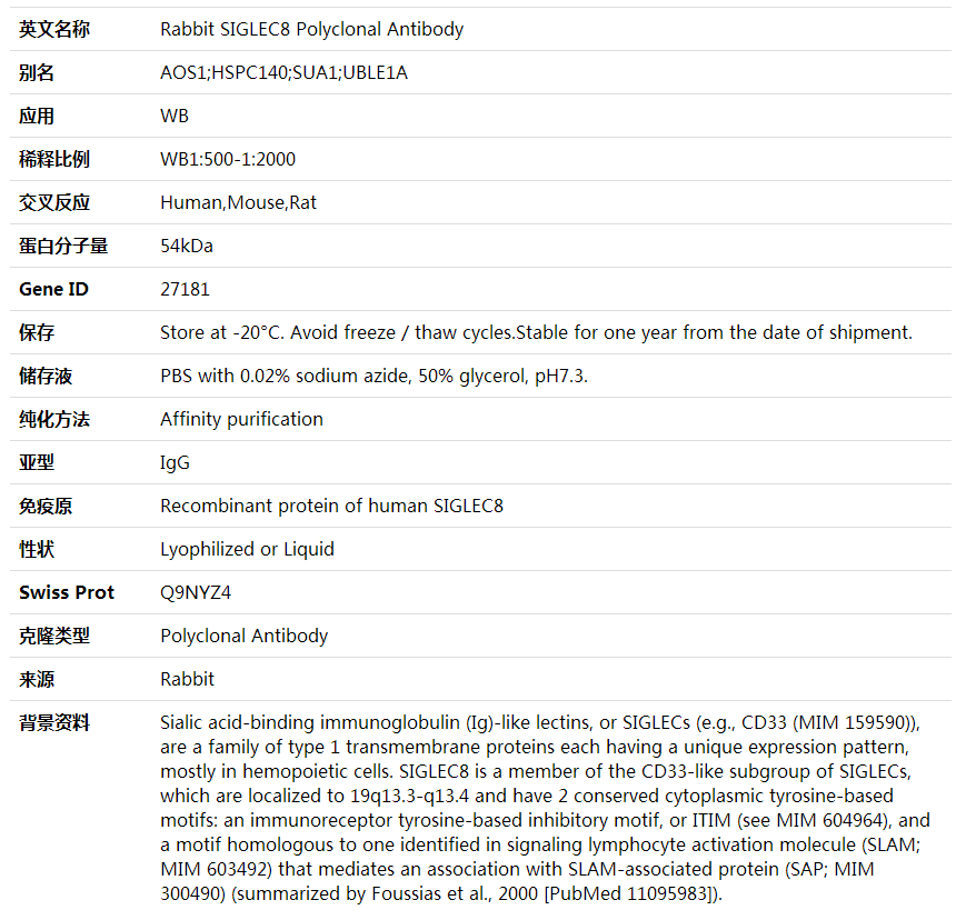 Anti-SIGLEC8 Polyclonal Antibody,索莱宝,K002033P-100ul