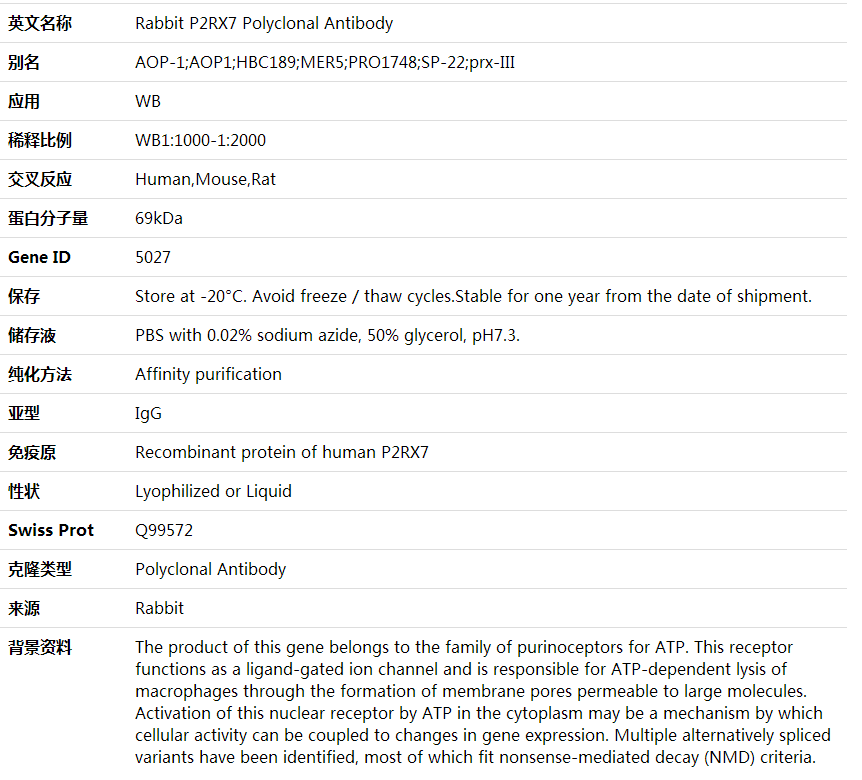 Anti-P2RX7 Polyclonal Antibody,索莱宝,K002032P-50ul