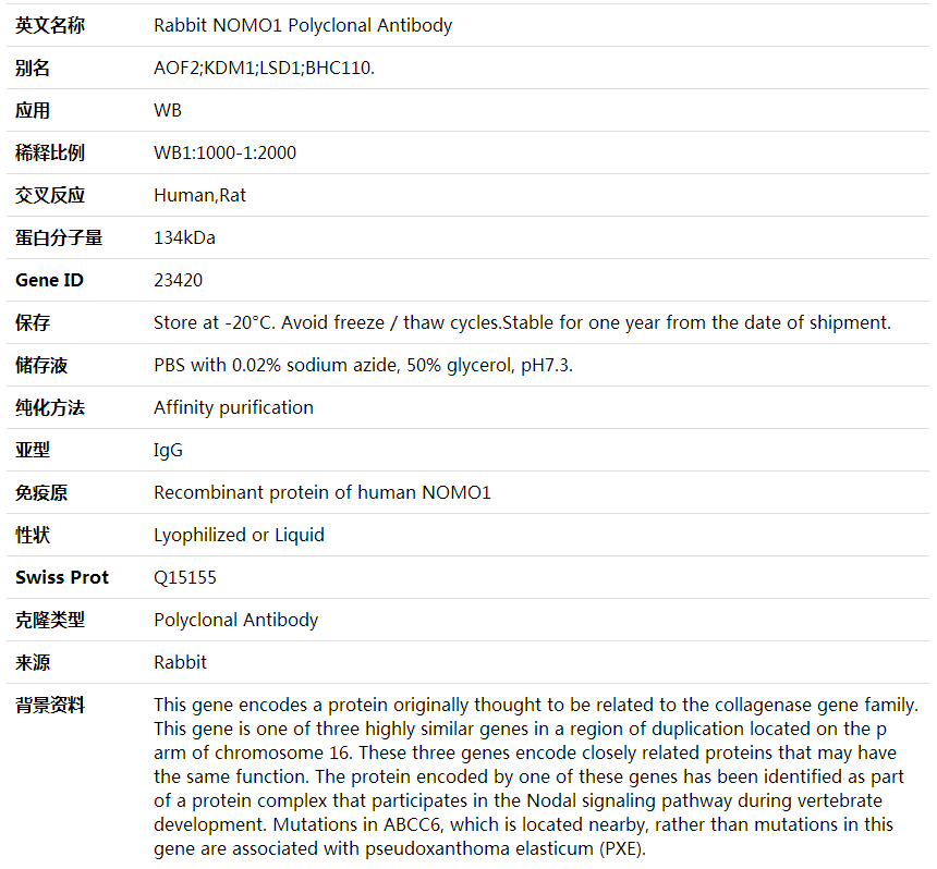 Anti-NOMO1 Polyclonal Antibody,索莱宝,K002031P-100ul