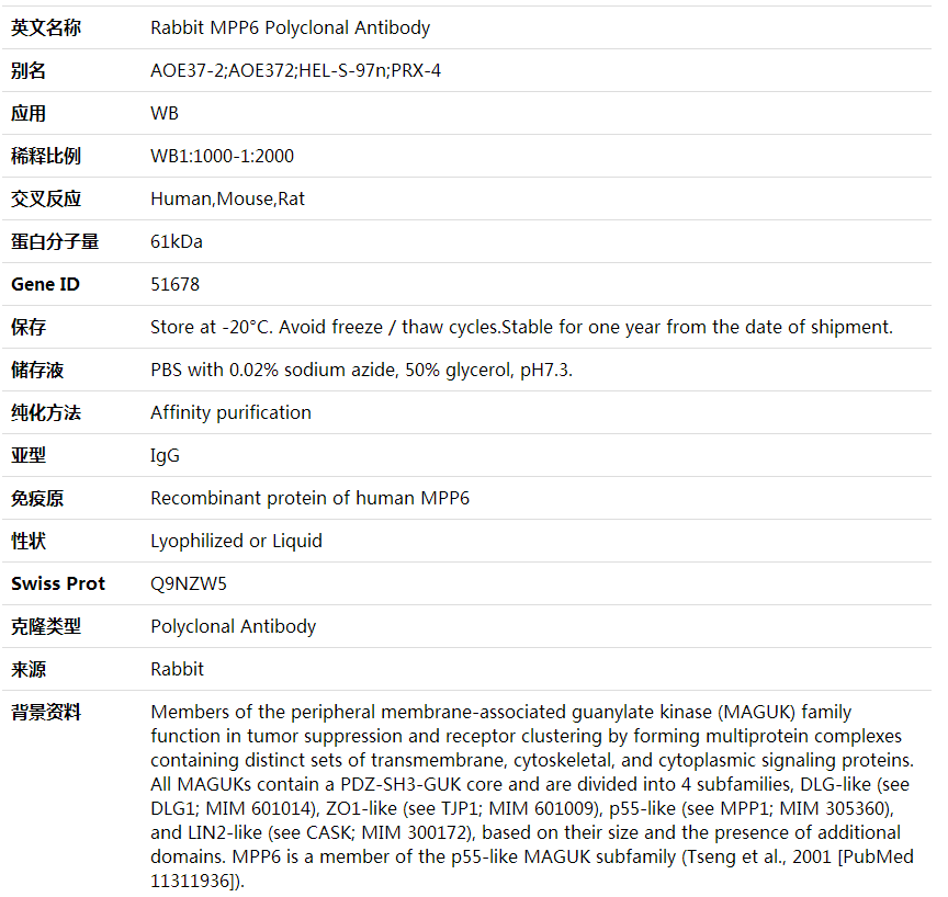 Anti-MPP6 Polyclonal Antibody,索莱宝,K002029P-30ul