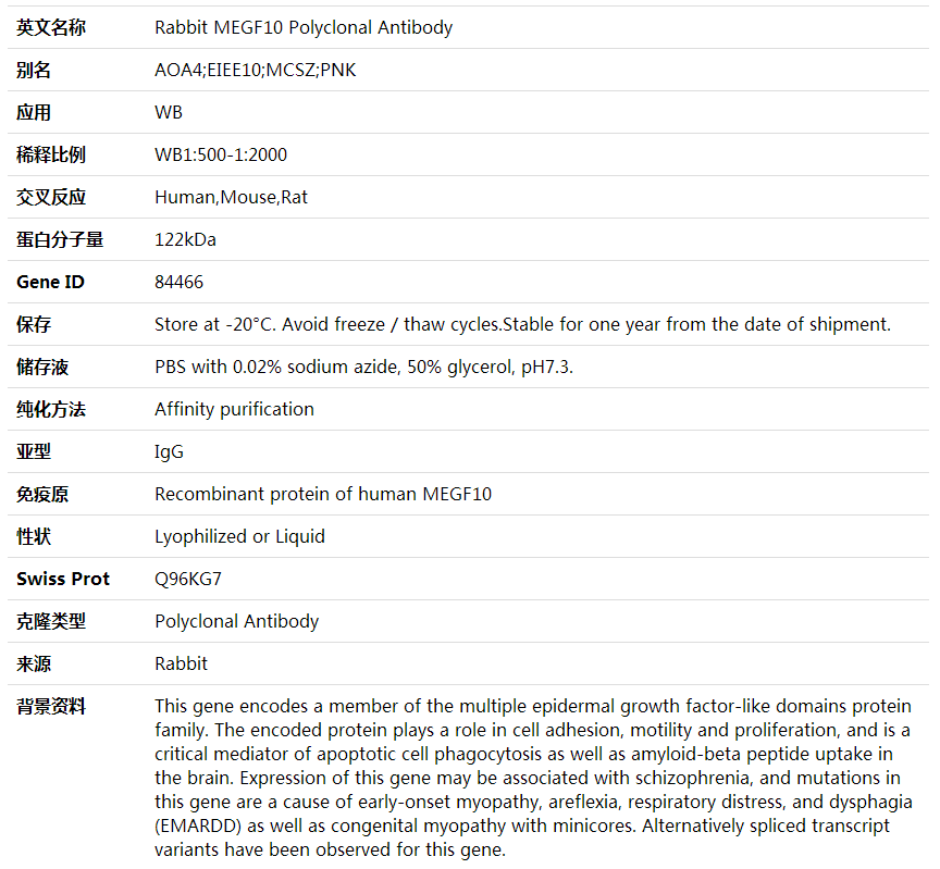 Anti-MEGF10 Polyclonal Antibody,索莱宝,K002028P-30ul