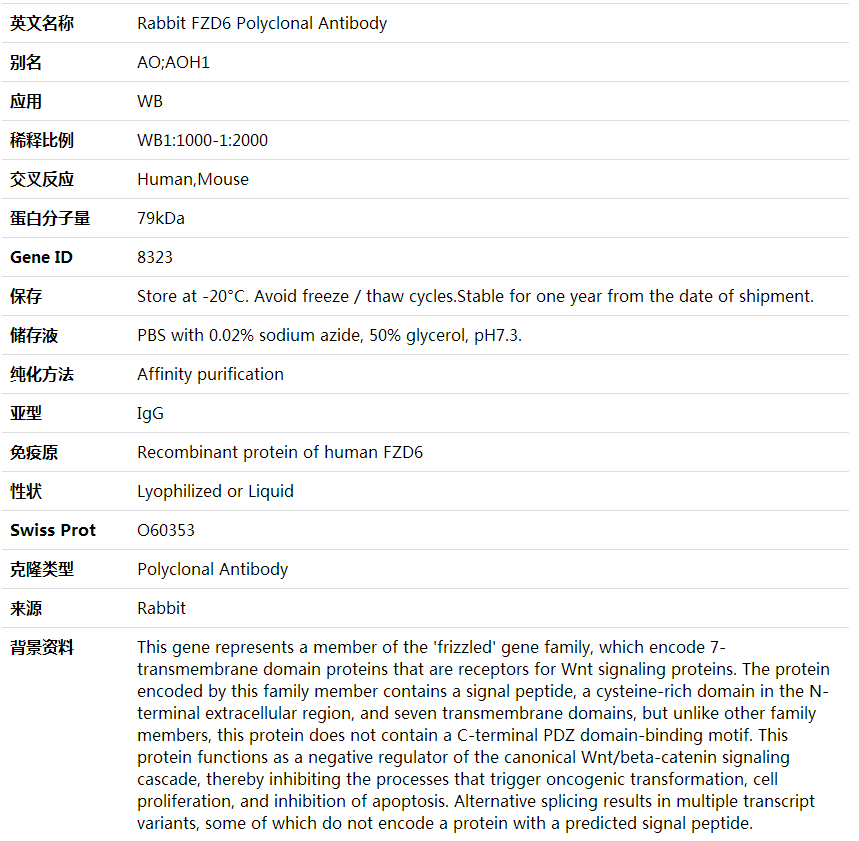 Anti-FZD6 Polyclonal Antibody,索莱宝,K002026P-100ul