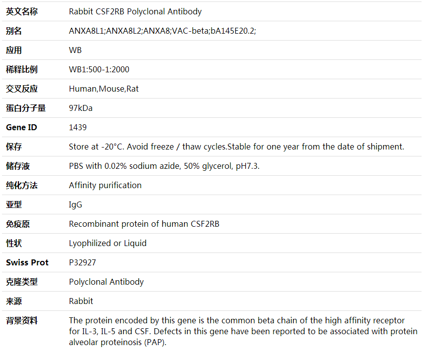 Anti-CSF2RB Polyclonal Antibody,索莱宝,K002025P-50ul