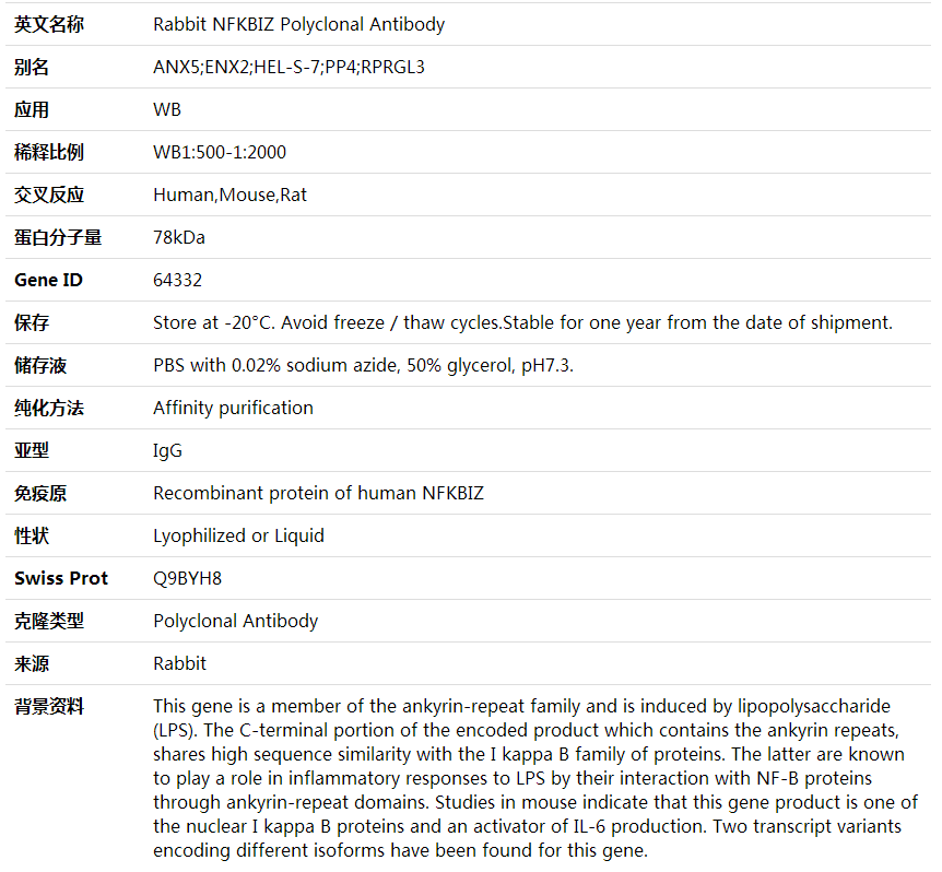 Anti-NFKBIZ Polyclonal Antibody,索莱宝,K002023P-30ul