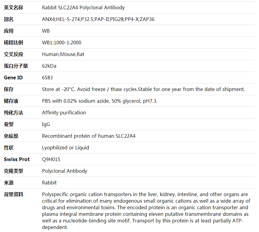 Anti-SLC22A4 Polyclonal Antibody,索莱宝,K002022P-30ul