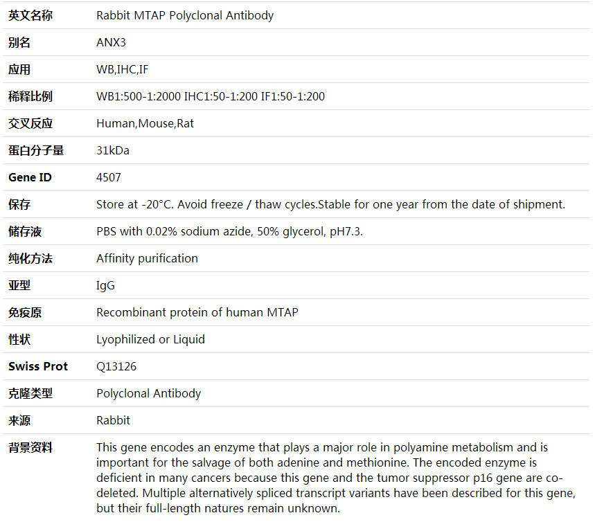 Anti-MTAP Polyclonal Antibody,索莱宝,K002021P-100ul