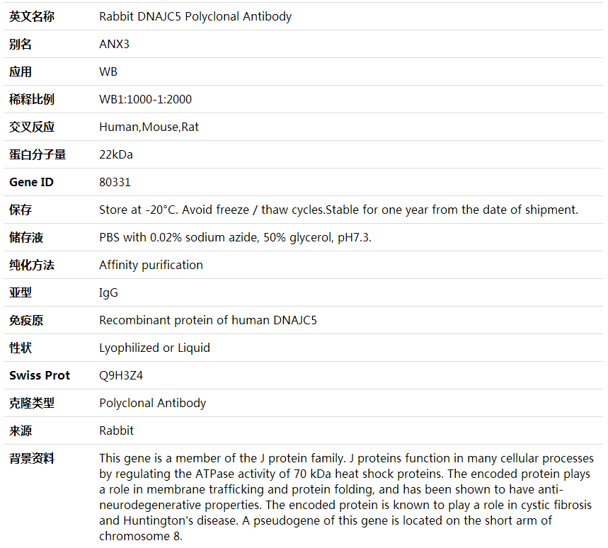 Anti-DNAJC5 Polyclonal Antibody,索莱宝,K002020P-100ul