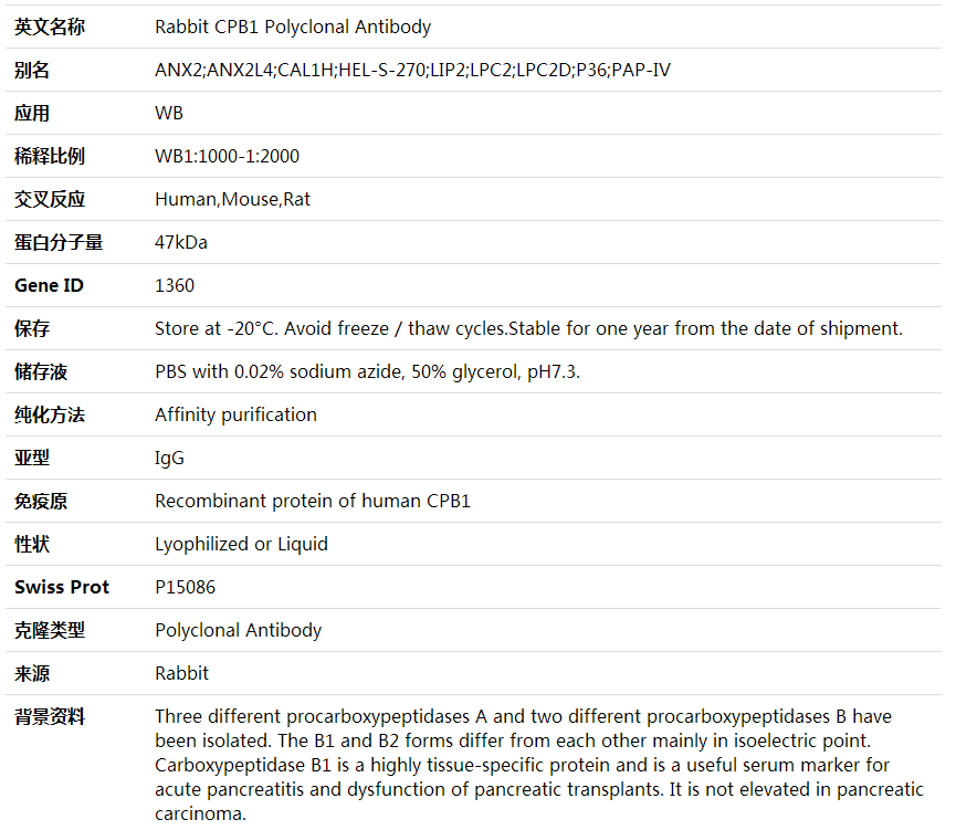 Anti-CPB1 Polyclonal Antibody,索莱宝,K002019P-50ul