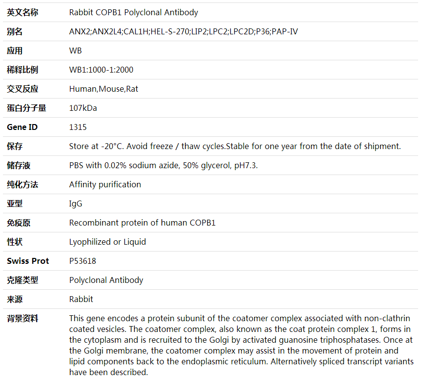 Anti-COPB1 Polyclonal Antibody,索莱宝,K002018P-30ul