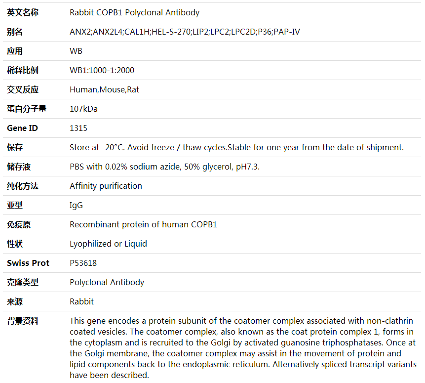 Anti-COPB1 Polyclonal Antibody,索莱宝,K002018P-100ul