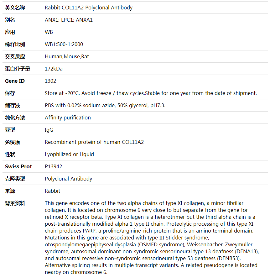 Anti-COL11A2 Polyclonal Antibody,索莱宝,K002015P-100ul