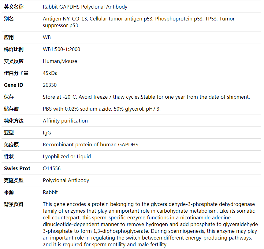 Anti-GAPDHS Polyclonal Antibody,索莱宝,K002014P-30ul