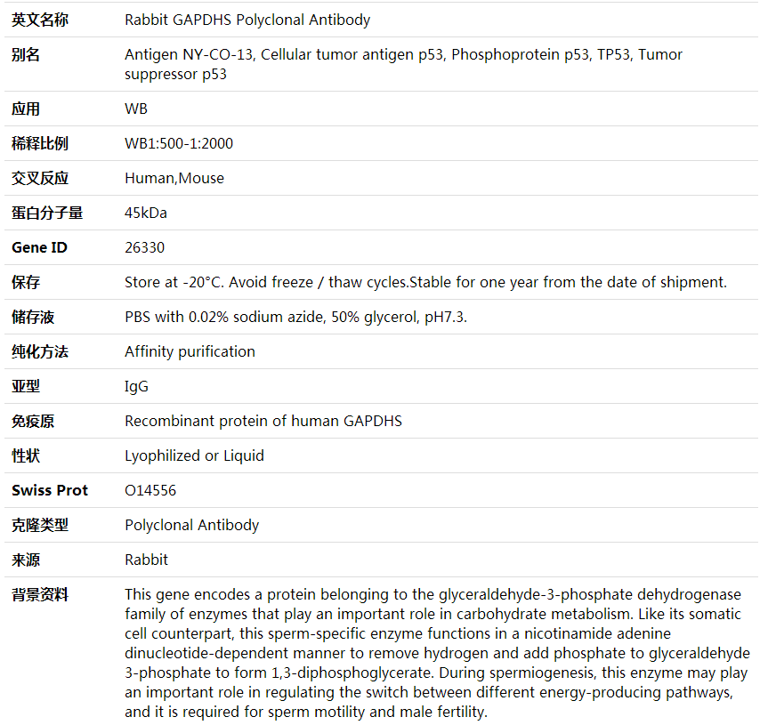 Anti-GAPDHS Polyclonal Antibody,索莱宝,K002014P-50ul