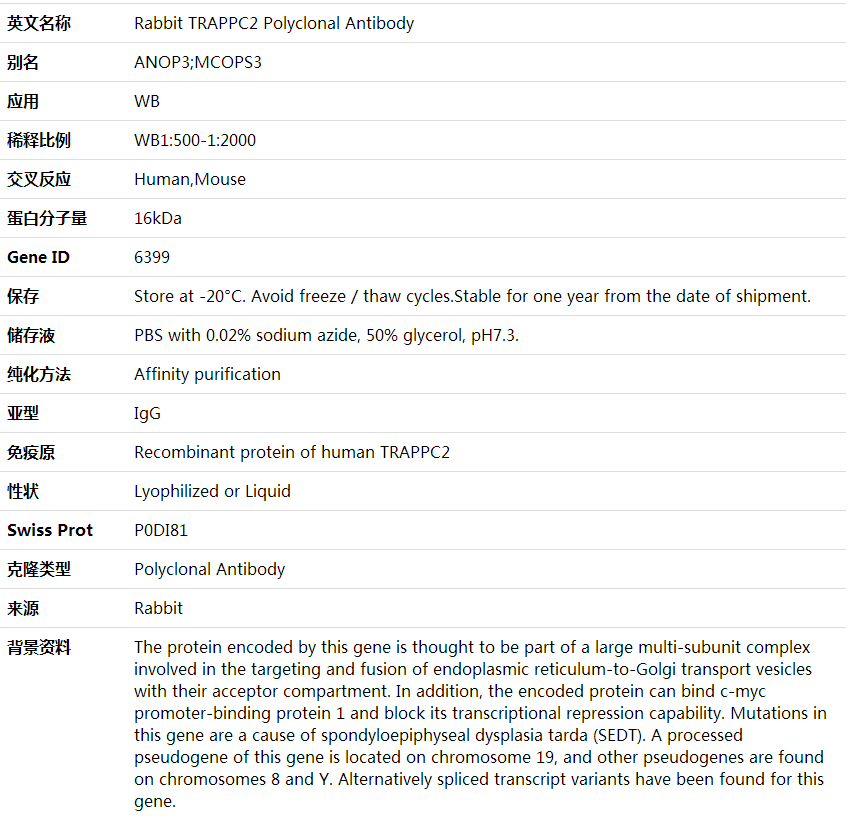 Anti-TRAPPC2 Polyclonal Antibody,索莱宝,K002012P-50ul