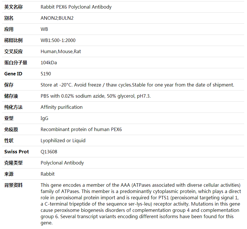 Anti-PEX6 Polyclonal Antibody,索莱宝,K002008P-100ul