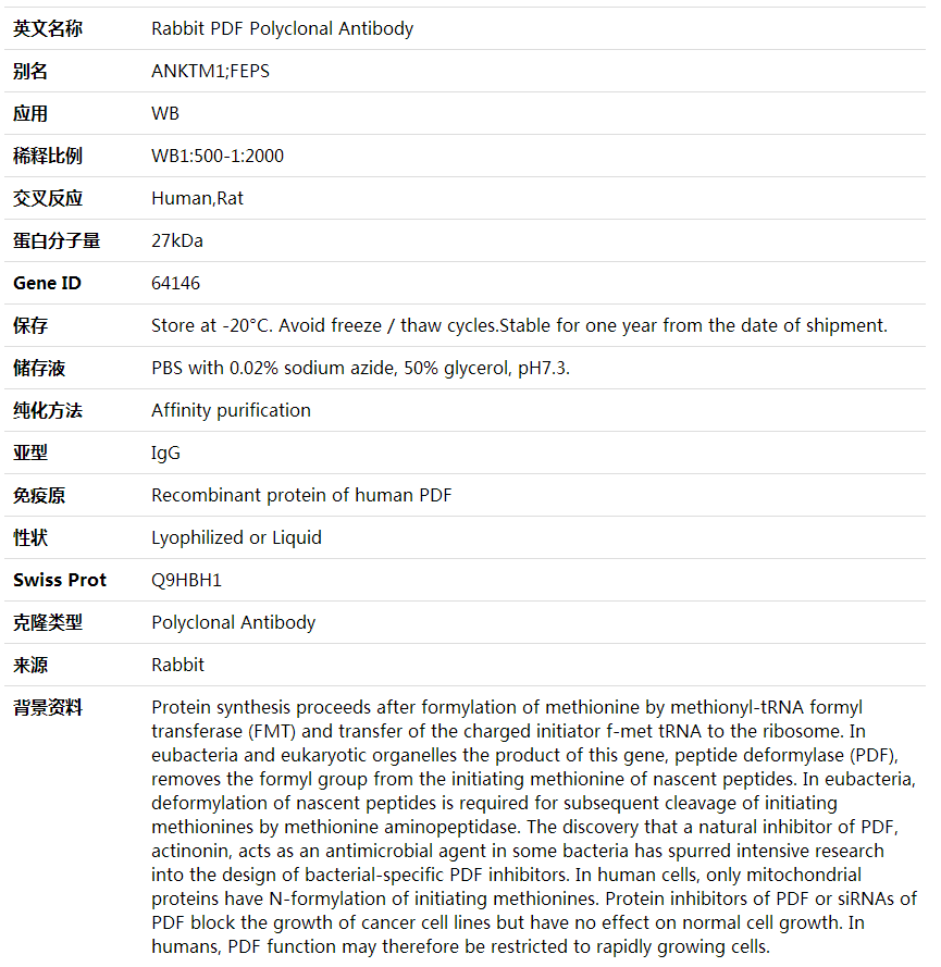 Anti-PDF Polyclonal Antibody,索莱宝,K002007P-100ul