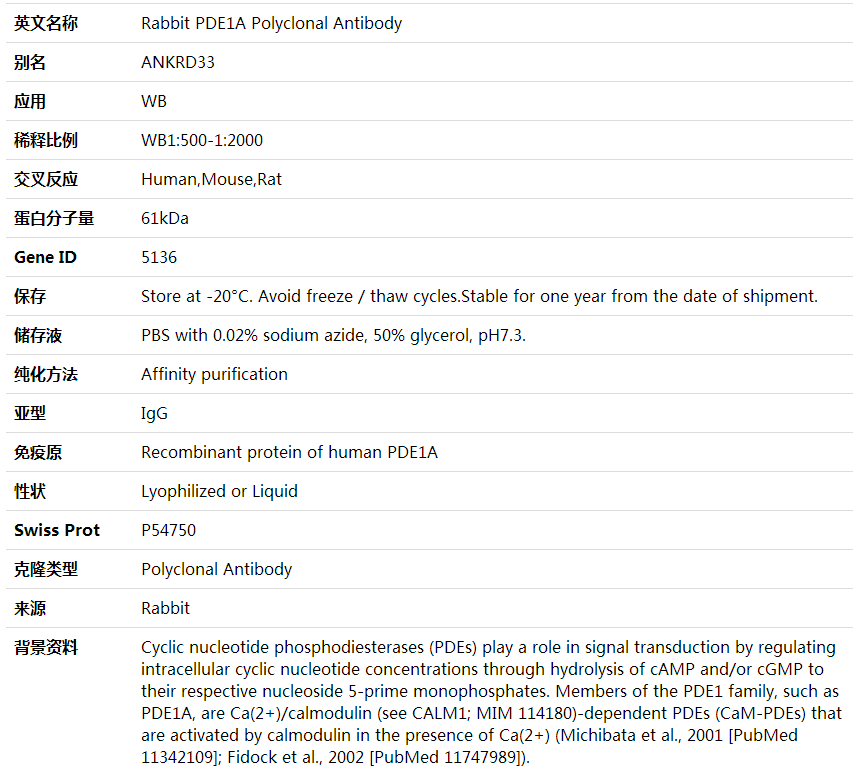 Anti-PDE1A Polyclonal Antibody,索莱宝,K002006P-50ul