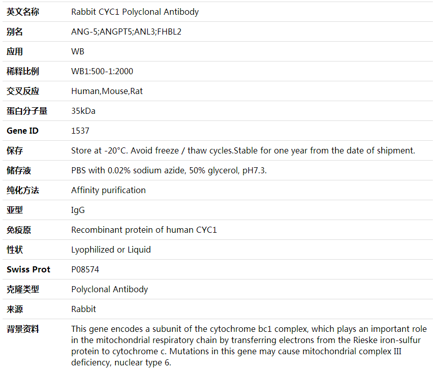 Anti-CYC1 Polyclonal Antibody,索莱宝,K002002P-50ul