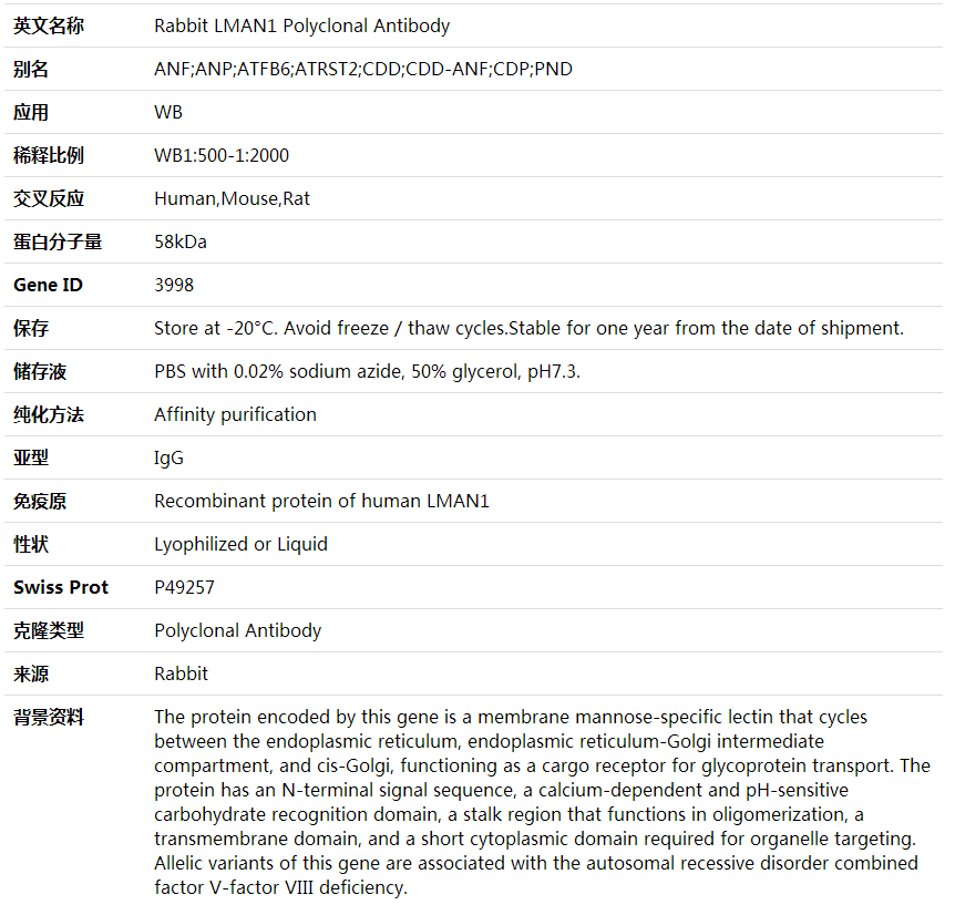 Anti-LMAN1 Polyclonal Antibody,索莱宝,K001998P-100ul
