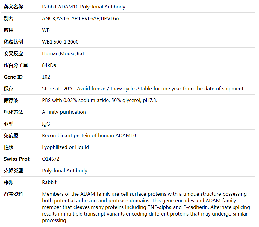 Anti-ADAM10 Polyclonal Antibody,索莱宝,K001997P-100ul