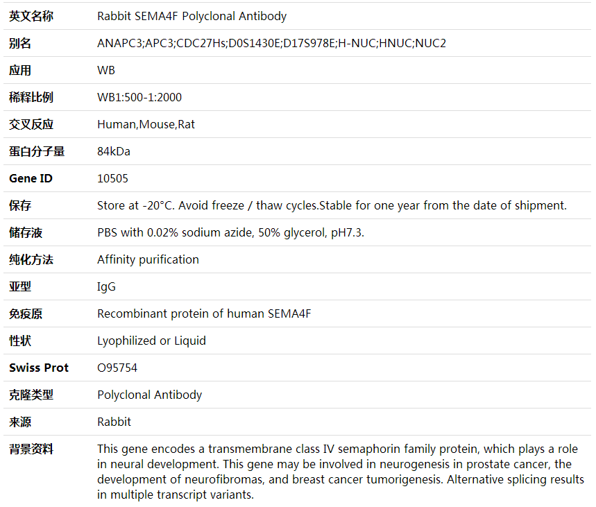 Anti-SEMA4F Polyclonal Antibody,索莱宝,K001995P-50ul