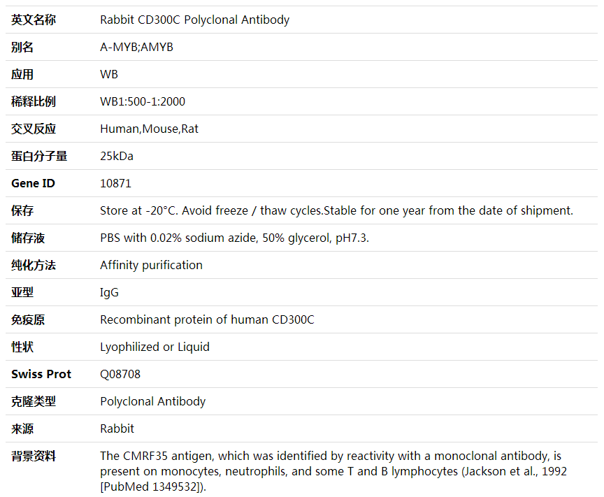 Anti-CD300C Polyclonal Antibody,索莱宝,K001989P-50ul