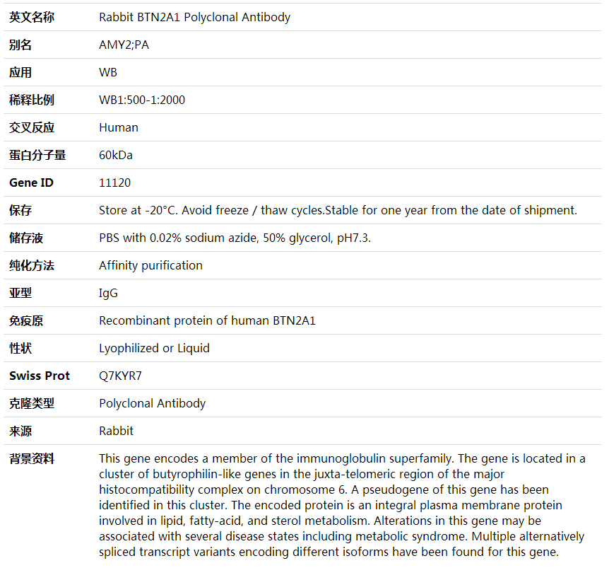 Anti-BTN2A1 Polyclonal Antibody,索莱宝,K001988P-50ul