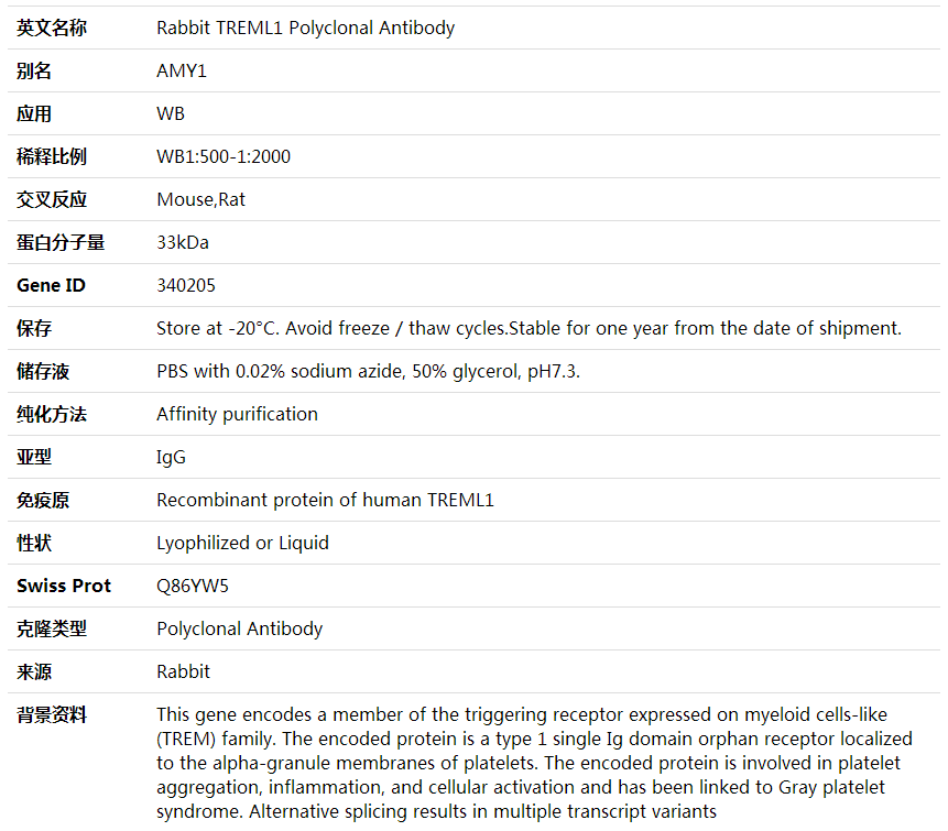 Anti-TREML1 Polyclonal Antibody,索莱宝,K001987P-50ul