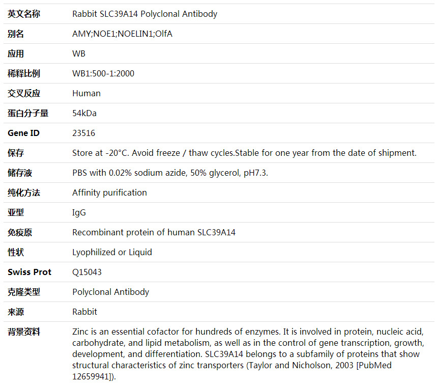 Anti-SLC39A14 Polyclonal Antibody,索莱宝,K001986P-100ul