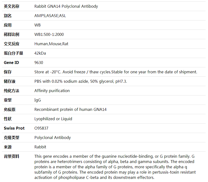 Anti-GNA14 Polyclonal Antibody,索莱宝,K001983P-100ul