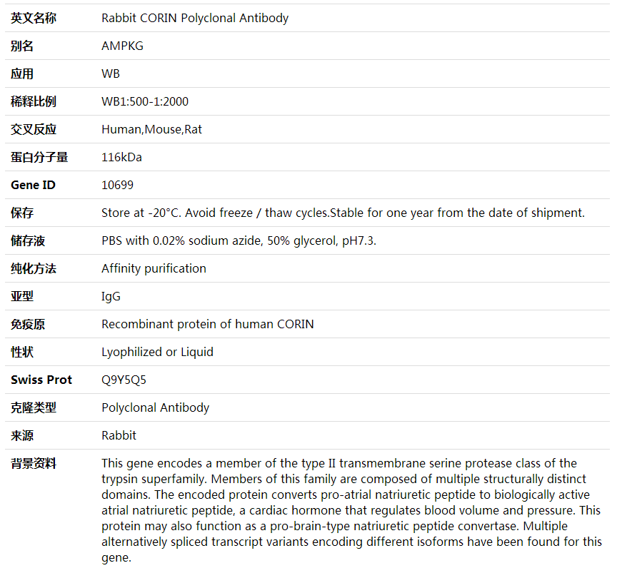 Anti-CORIN Polyclonal Antibod,索莱宝,K001982P-100ul