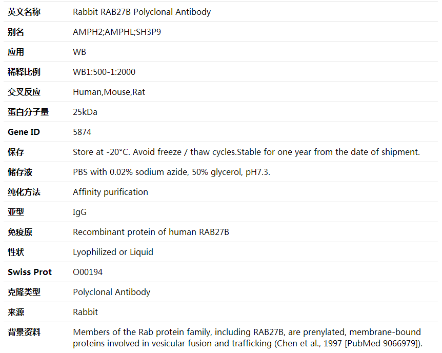 Anti-RAB27B Polyclonal Antibody,索莱宝,K001975P-100ul