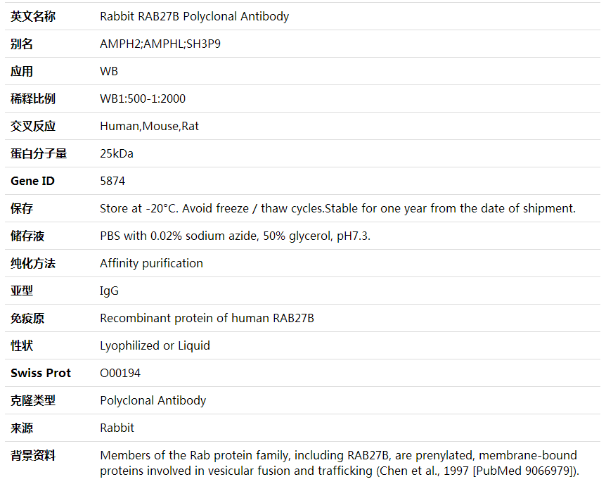 Anti-RAB27B Polyclonal Antibody,索莱宝,K001975P-30ul