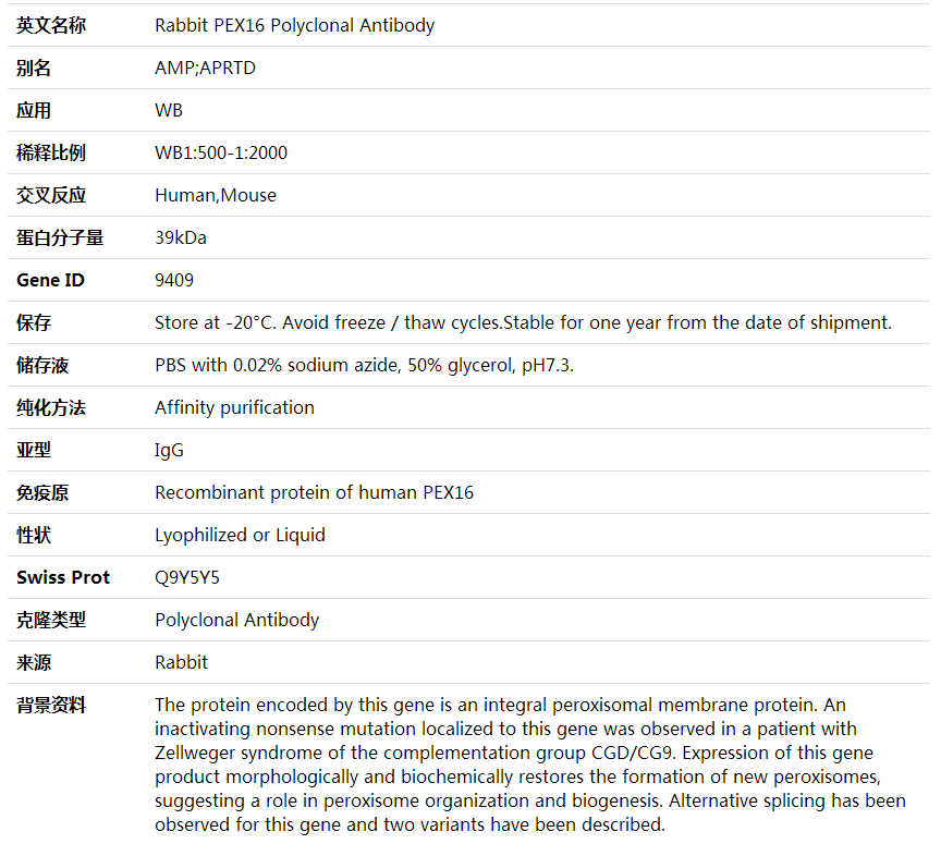 Anti-PEX16 Polyclonal Antibody,索莱宝,K001973P-100ul