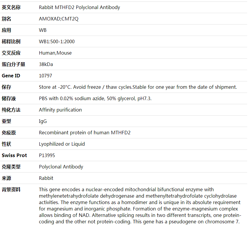 Anti-MTHFD2 Polyclonal Antibody,索莱宝,K001972P-50ul