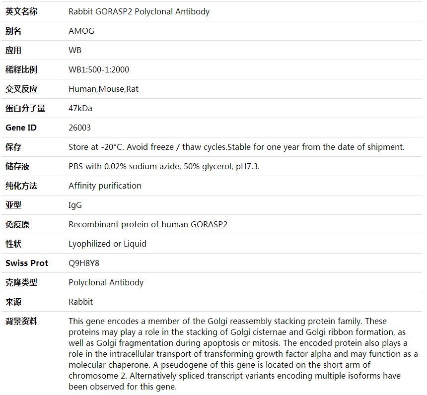 Anti-GORASP2 Polyclonal Antibody,索莱宝,K001971P-100ul