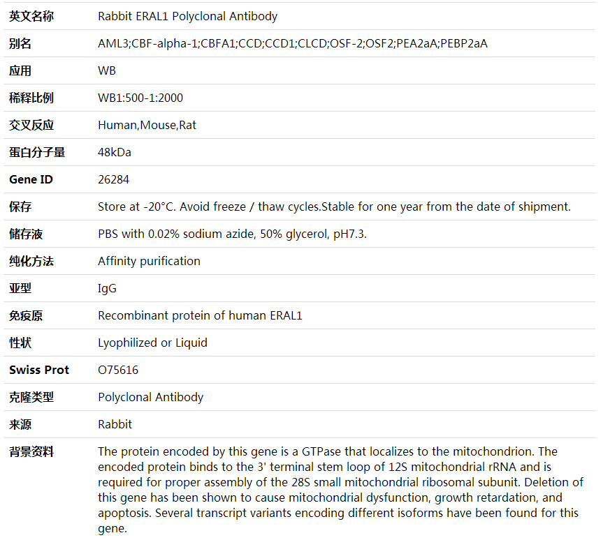Anti-ERAL1 Polyclonal Antibody,索莱宝,K001970P-30ul