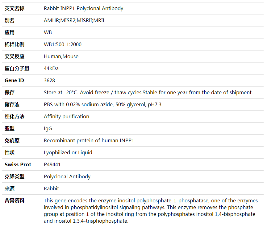Anti-INPP1 Polyclonal Antibody,索莱宝,K001965P-30ul