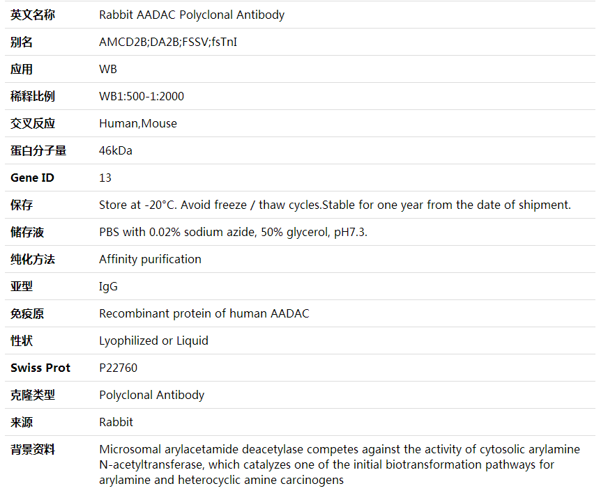 Anti-AADAC Polyclonal Antibody,索莱宝,K001963P-50ul