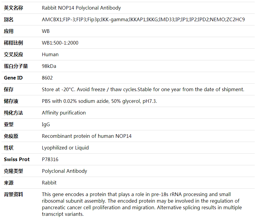 Anti-NOP14 Polyclonal Antibody,索莱宝,K001960P-50ul