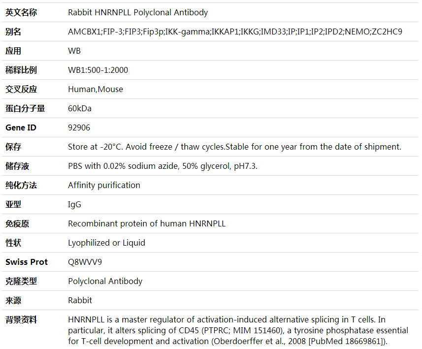 Anti-HNRNPLL Polyclonal Antibody,索莱宝,K001959P-100ul