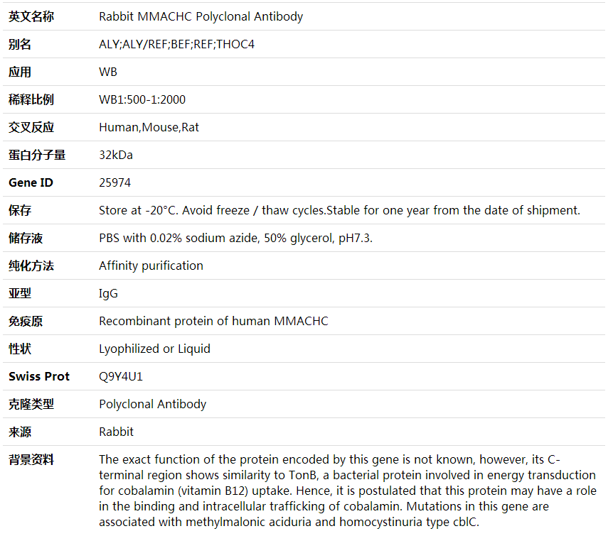 Anti-MMACHC Polyclonal Antibody,索莱宝,K001955P-100ul