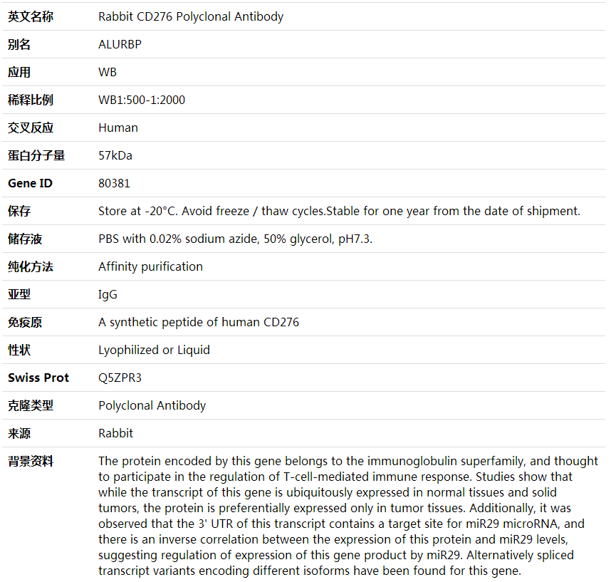Anti-CD276 Polyclonal Antibod,索莱宝,K001952P-100ul