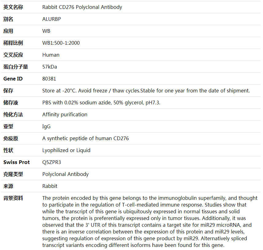 Anti-CD276 Polyclonal Antibod,索莱宝,K001952P-50ul