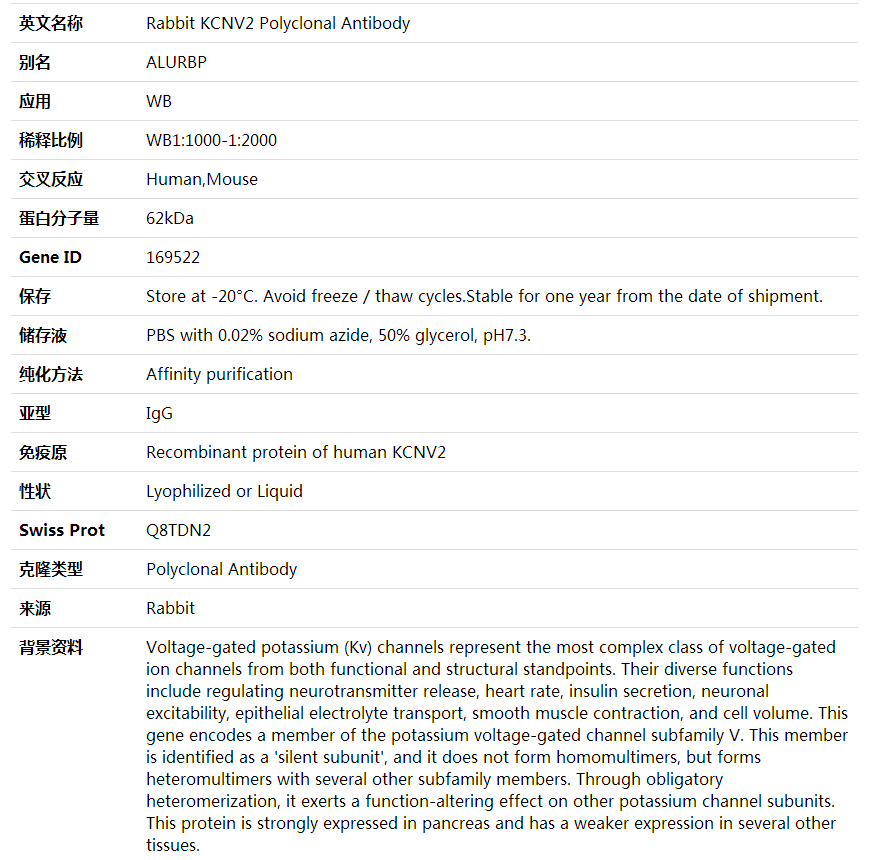 Anti-KCNV2 Polyclonal Antibody,索莱宝,K001951P-30ul