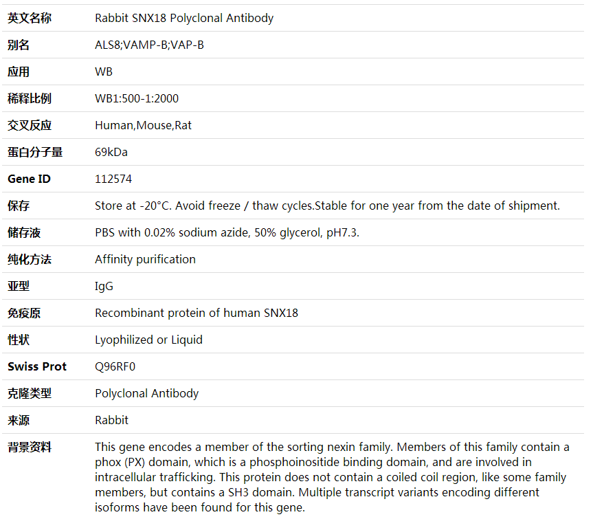 Anti-SNX18 Polyclonal Antibody,索莱宝,K001948P-30ul