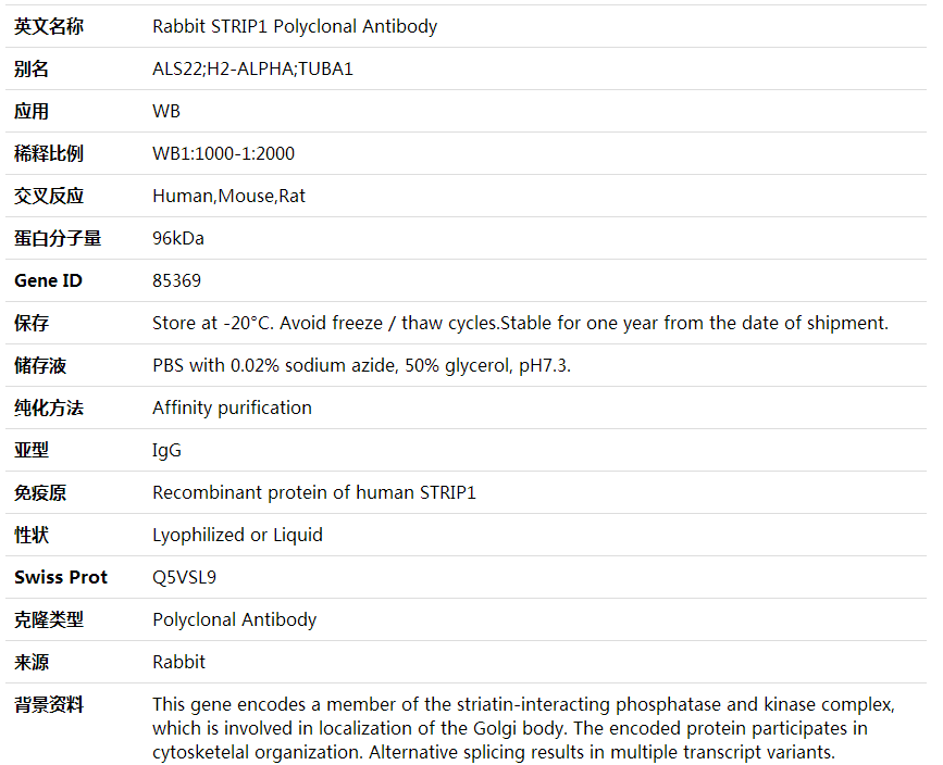 Anti-STRIP1 Polyclonal Antibo,索莱宝,K001945P-30ul