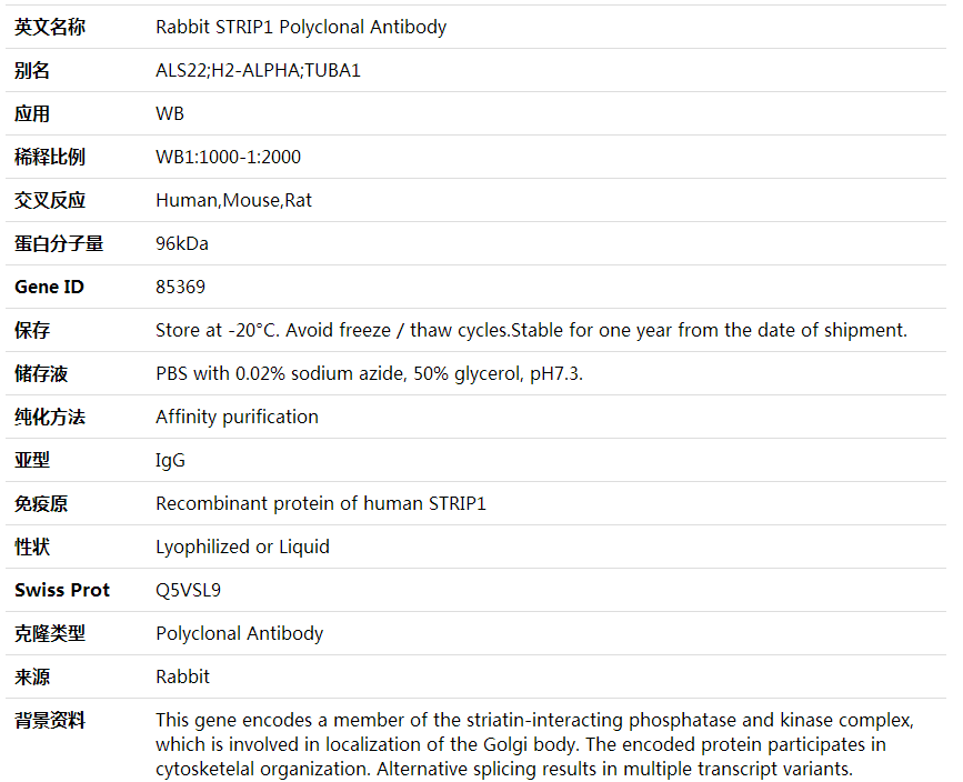 Anti-STRIP1 Polyclonal Antibo,索莱宝,K001945P-50ul