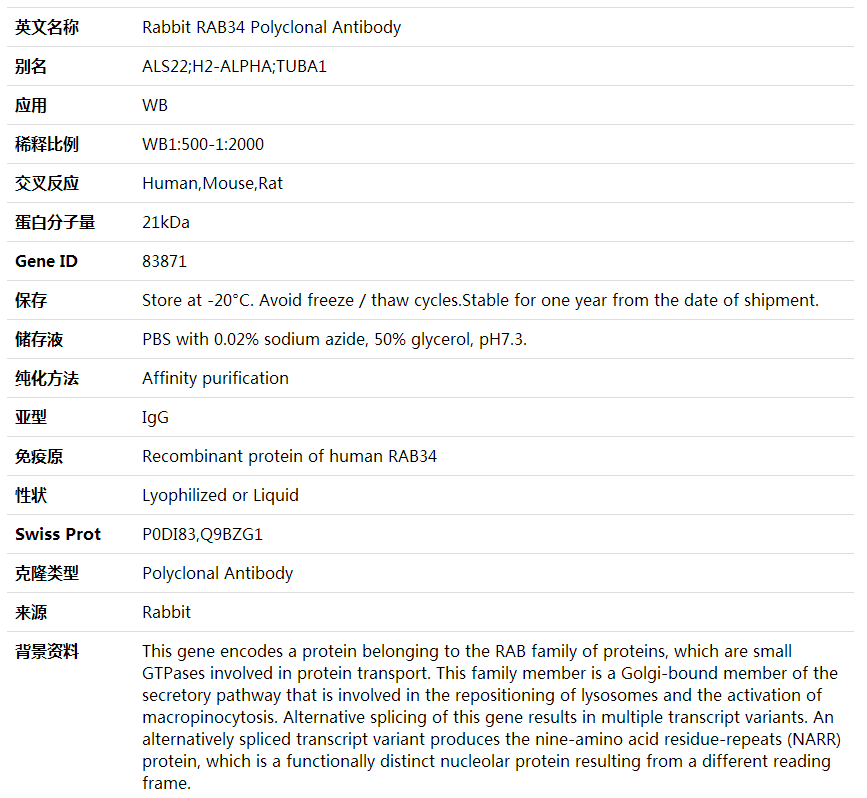 Anti-RAB34 Polyclonal Antibody,索莱宝,K001944P-50ul